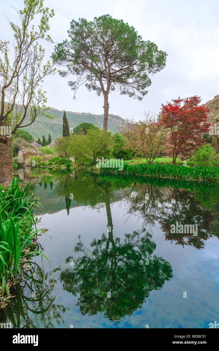 Garten von Ninfa, Italien - ein Naturdenkmal mit mittelalterlichen Ruinen in Stein, Blumen Park und ein ehrfürchtiges Torrent mit wenig fallen. Provinz Latina. Stockfoto