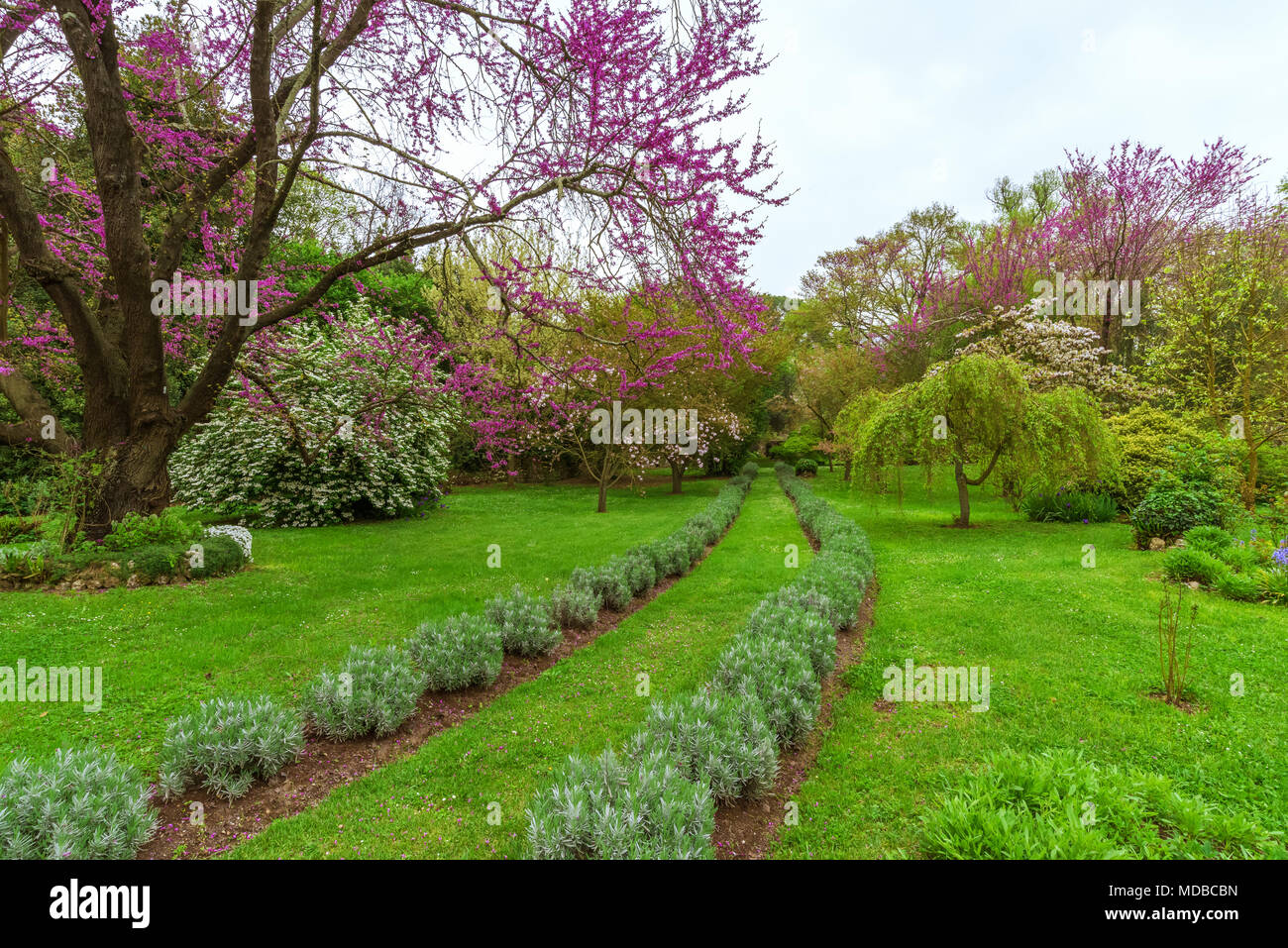 Garten von Ninfa, Italien - ein Naturdenkmal mit mittelalterlichen Ruinen in Stein, Blumen Park und ein ehrfürchtiges Torrent mit wenig fallen. Provinz Latina. Stockfoto