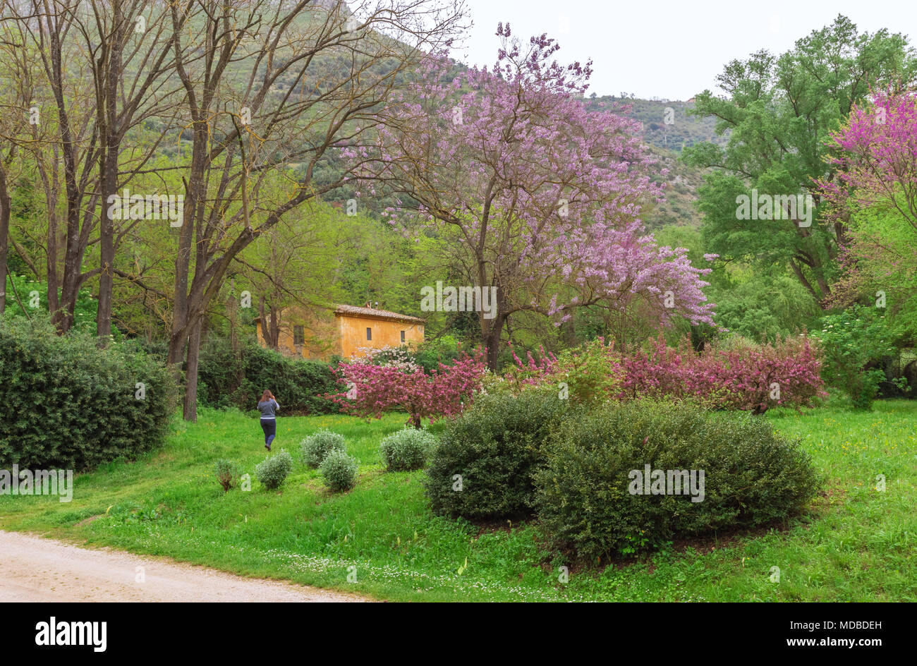 Garten von Ninfa, Italien - ein Naturdenkmal mit mittelalterlichen Ruinen in Stein, Blumen Park und ein ehrfürchtiges Torrent mit wenig fallen. Provinz Latina. Stockfoto