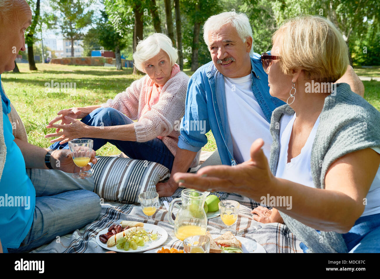 Senioren genießen Sie ein Picknick im sonnigen Park Stockfoto