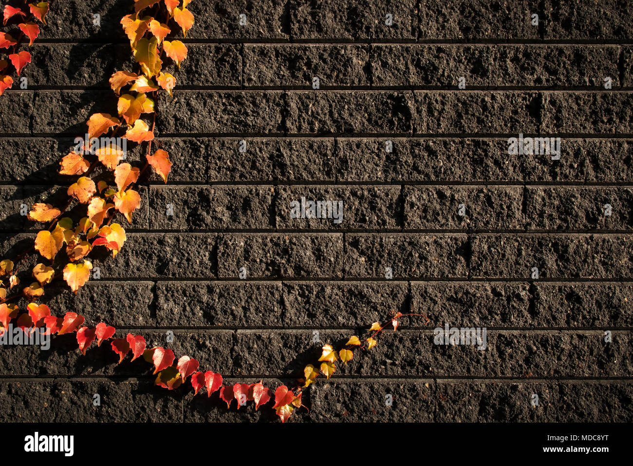 Herbst Blätter auf die Backsteine im Hintergrund. Stockfoto