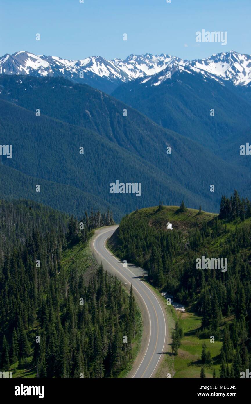 Mountain Road in Olympic National Park, Washington USA. Stockfoto