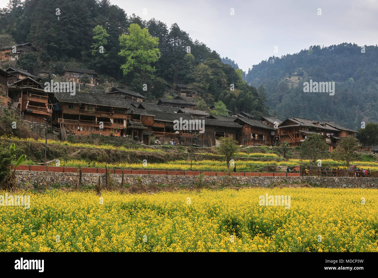 Langde Miao Dorf, Provinz Guizhou, China Stockfoto