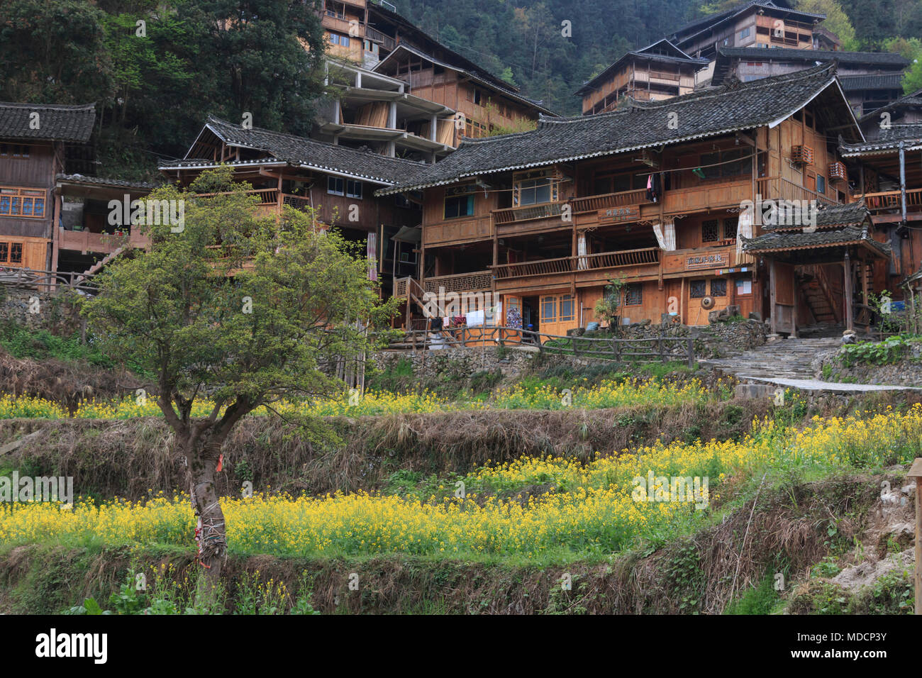 Langde Miao Dorf, Provinz Guizhou, China Stockfoto