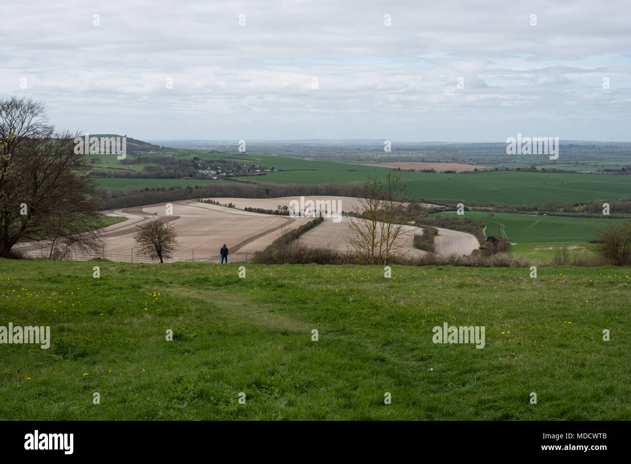 Einsame Mann bewundern Sie die Aussicht von einem Hügel auf Dunstable Downs, Hertfordshire Stockfoto