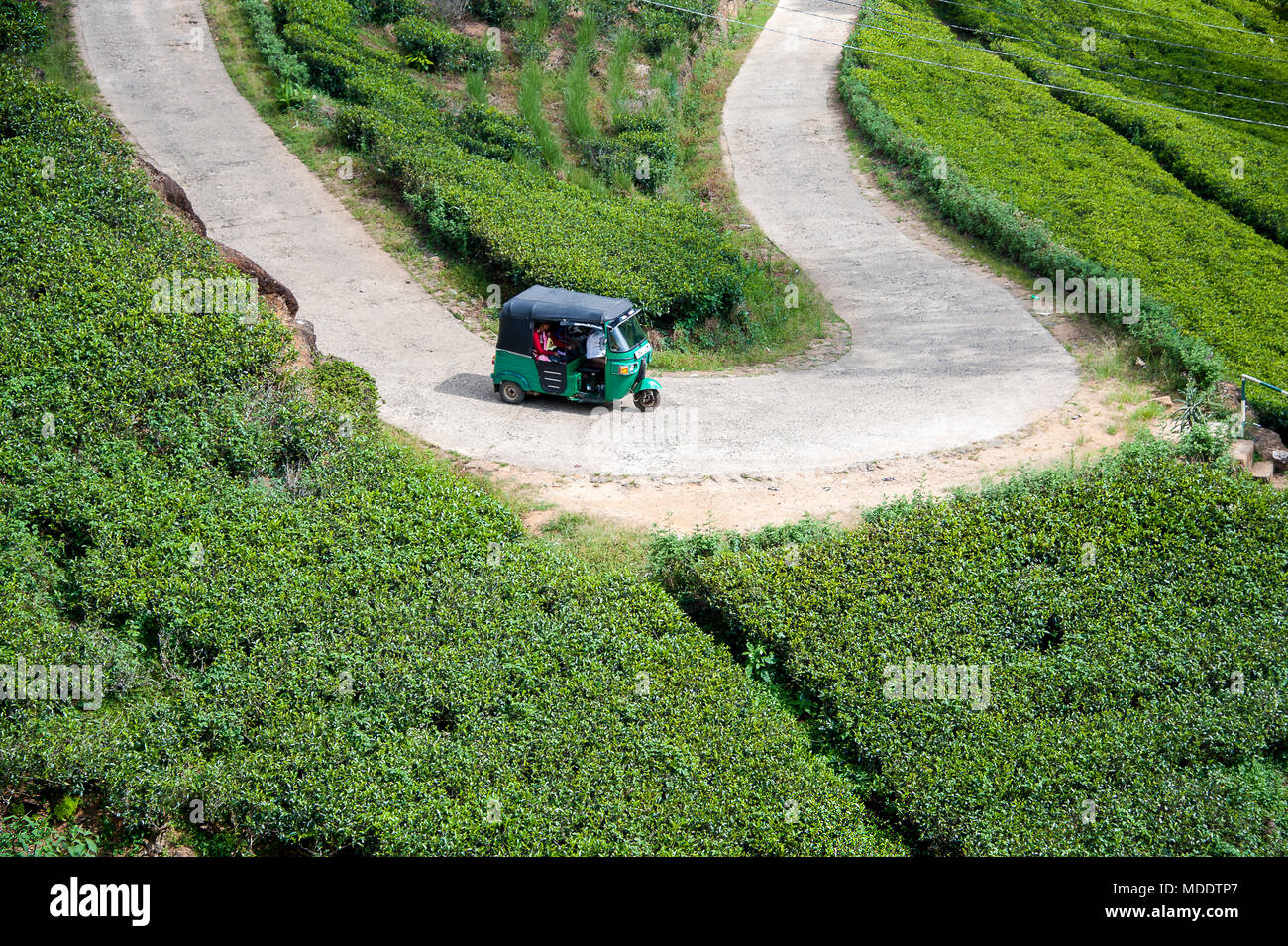 Luftaufnahme Tuktuk Taxi auf einer Teeplantage, in der Nähe von Nuwara Eliya, Sri Lanka, eine kurvenreiche Straße schlängelt sich durch eine grüne Landschaft Stockfoto