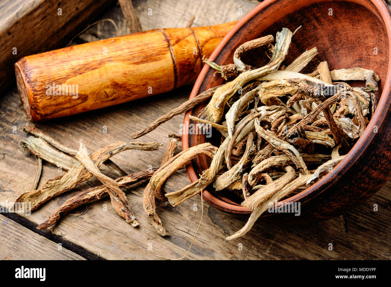 Arzneimittel Rohstoffe aus Wurzeln und Rhizome inula. Root elecampane Stockfoto