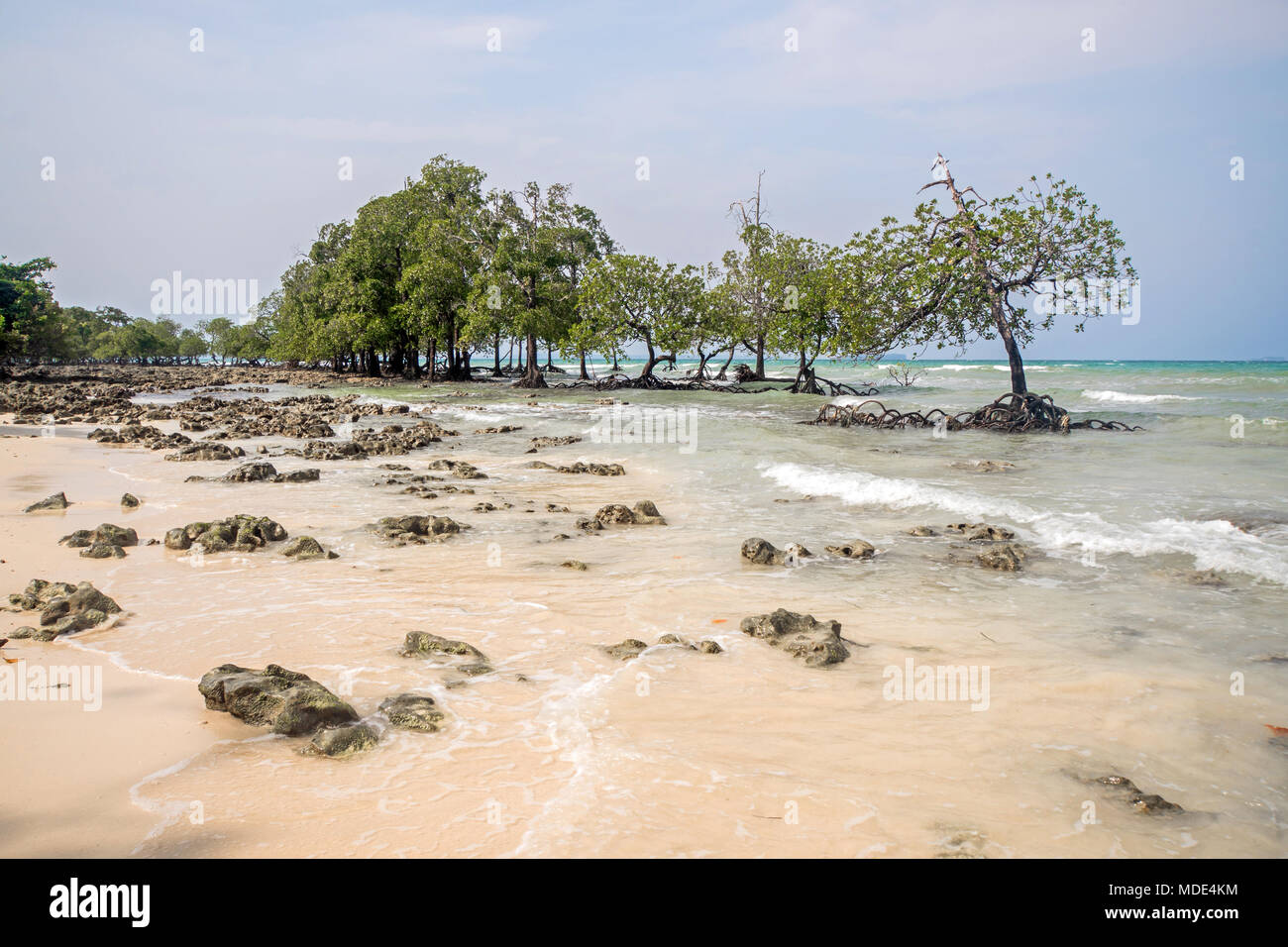 Wunderschöne exotische Bäume gegen das Meer Landschaft mit blauen Wolken und türkisblauem Wasser. Unbewohnte Insel im Indischen Ozean.. Steine auf weißen Sand b Stockfoto