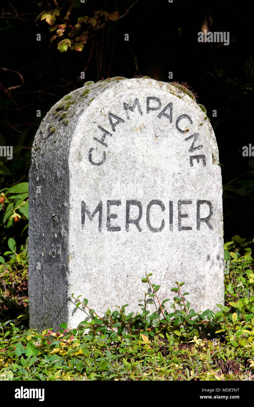 Weinberg Markierungsstein für Champagner Mercier, Epernay, Champagner, Frankreich Stockfoto