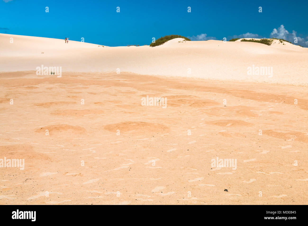 Blick auf den berühmten Sanddünen von Corralejo auf Fuerteventura, Spanien mit blauem Himmel und einige Touristen im Hintergrund. Stockfoto