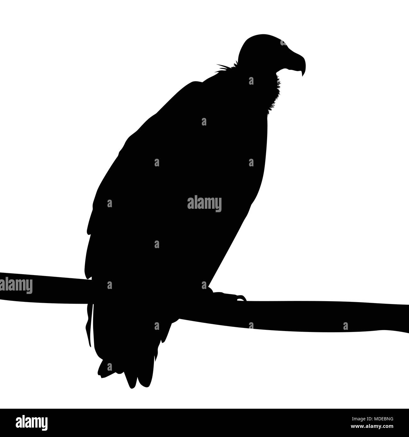 Adler Silhouette auf weißem Hintergrund, Vector Illustration Stock Vektor