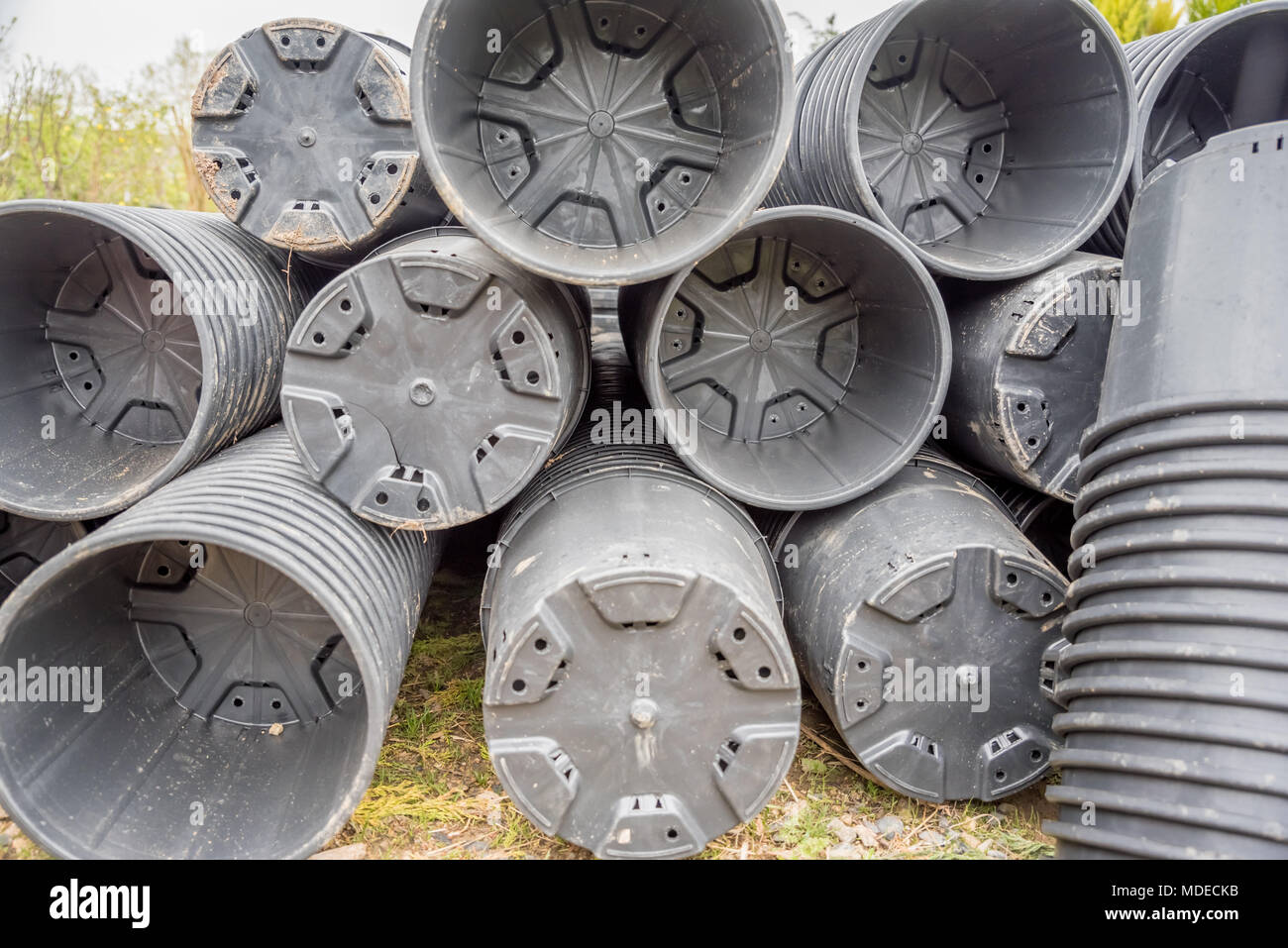 Viele große Plastiktöpfe sind zusammen für die Anpflanzung von Bäumen auf  dem Boden Stockfotografie - Alamy