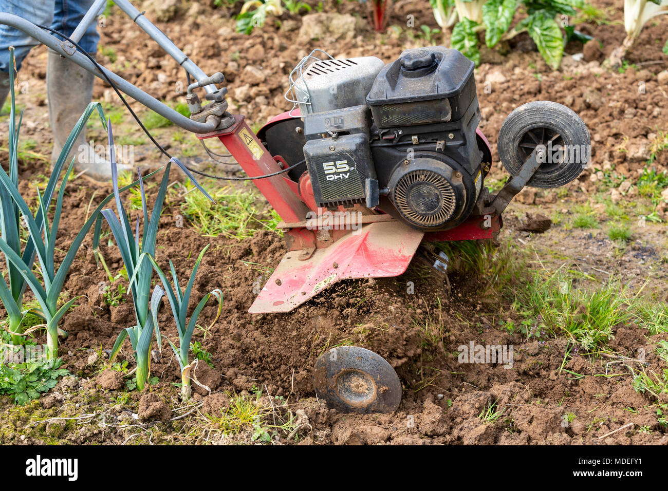 Senior Landwirt Gärtner im Garten arbeitet mit rototiller, Deichsel