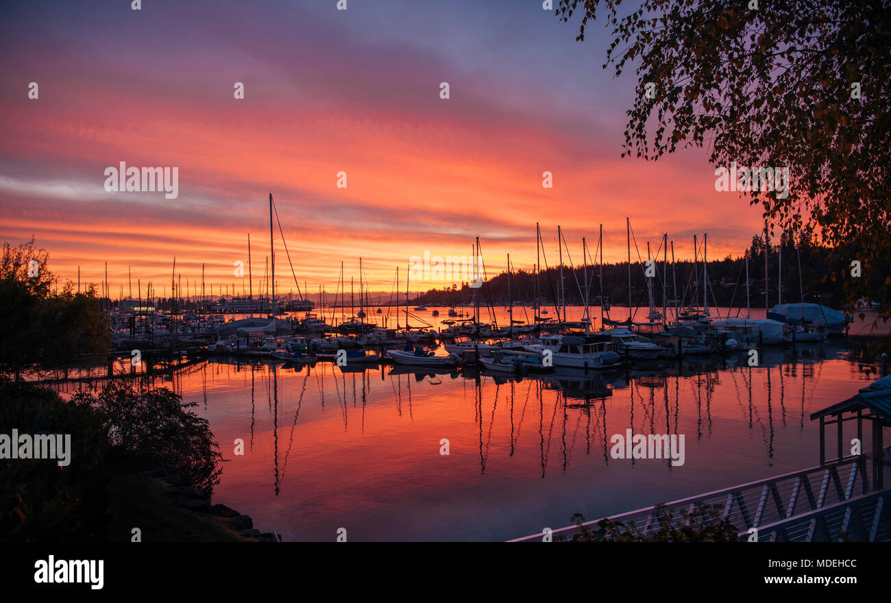 Boote im Hafen bei Sonnenuntergang, Bainbridge, Washington, United States Stockfoto