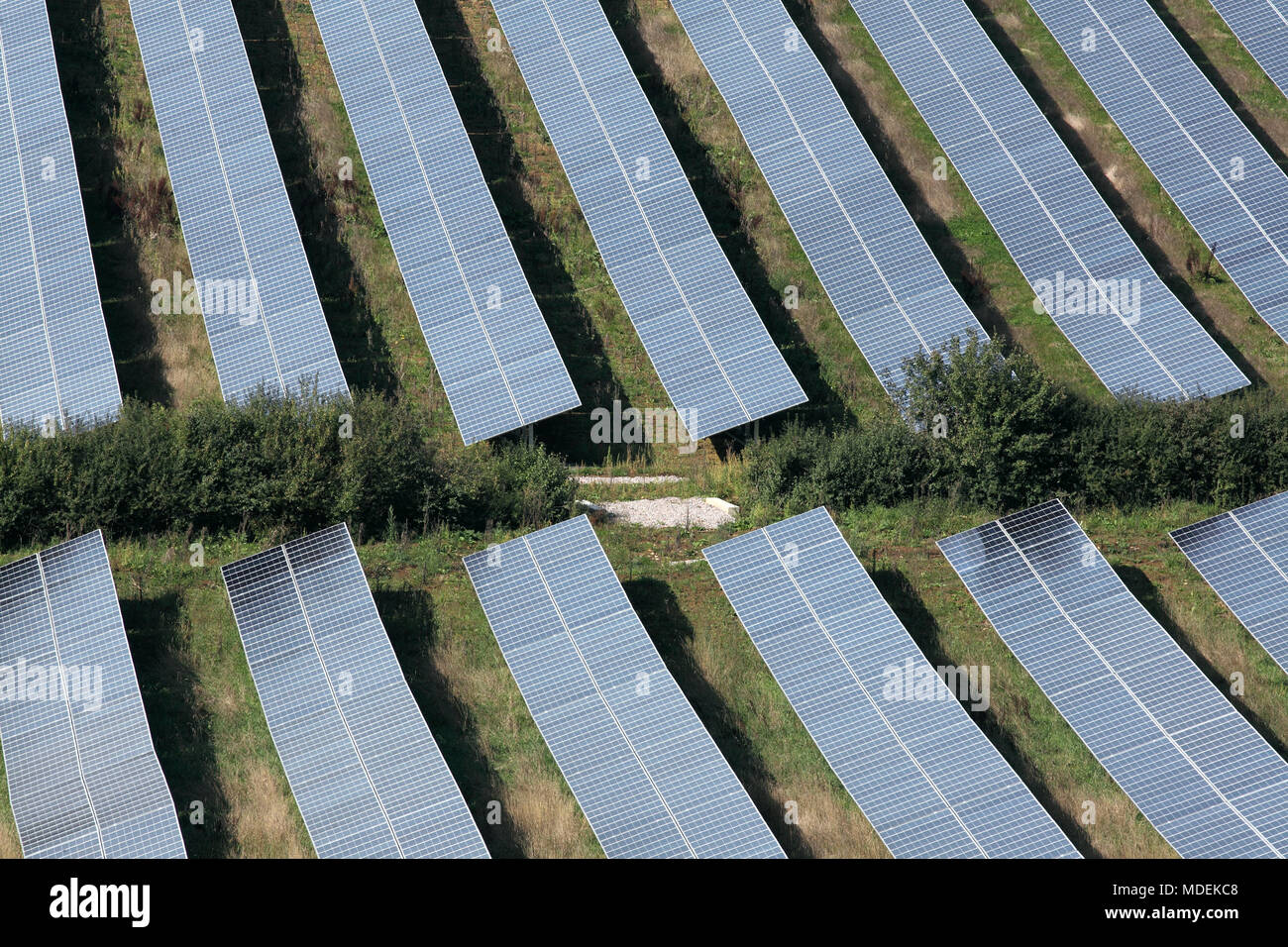 Auf einige Der photovoltaic Arrays, die die Milborne Port Solar Farm, in der Nähe der Milborne Port, Somerset umfassen. Stockfoto