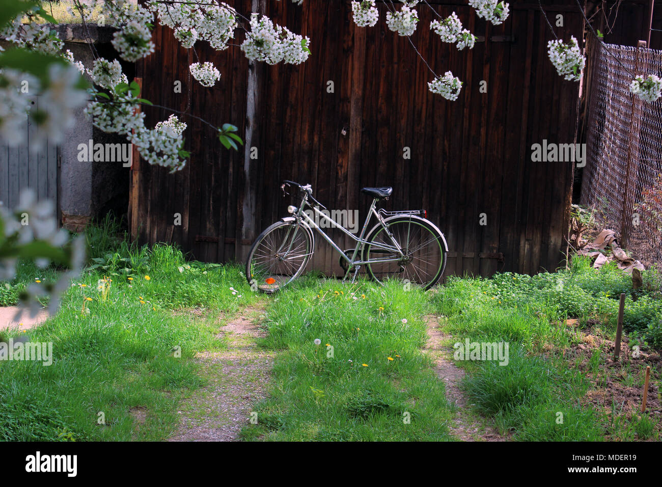 Vintage Fahrrad im Hinterhof Stockfoto