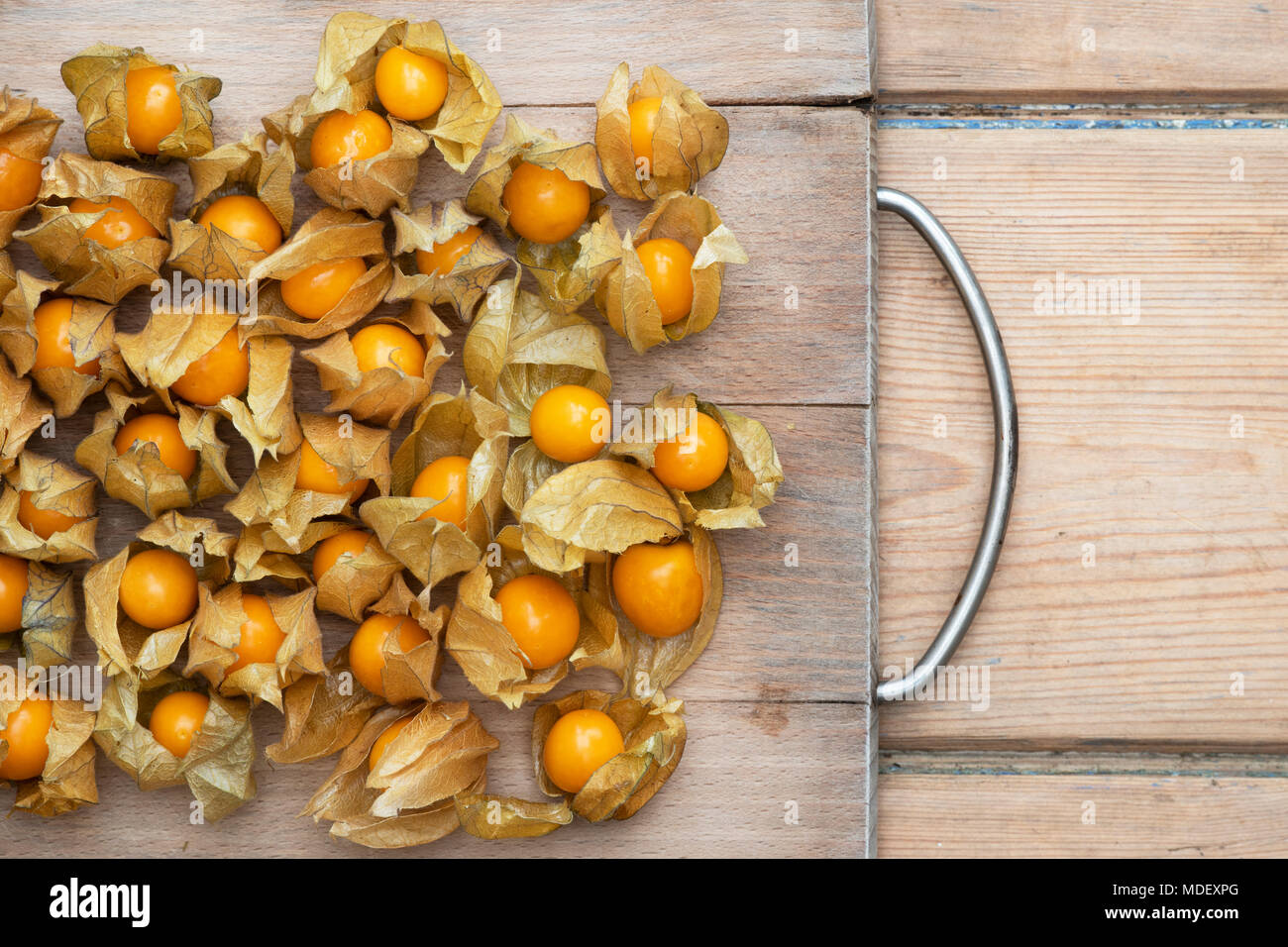 Physalis rubro. Kap Stachelbeeren Obst auf einem Holzbrett Stockfoto