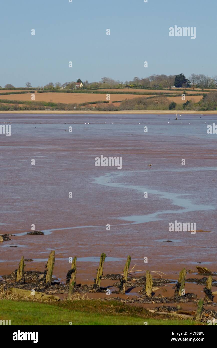 Wattenmeer der Exe Estuary bei Ebbe von Turf Lock, Exeter, Devon, Großbritannien. April, 2018. Stockfoto