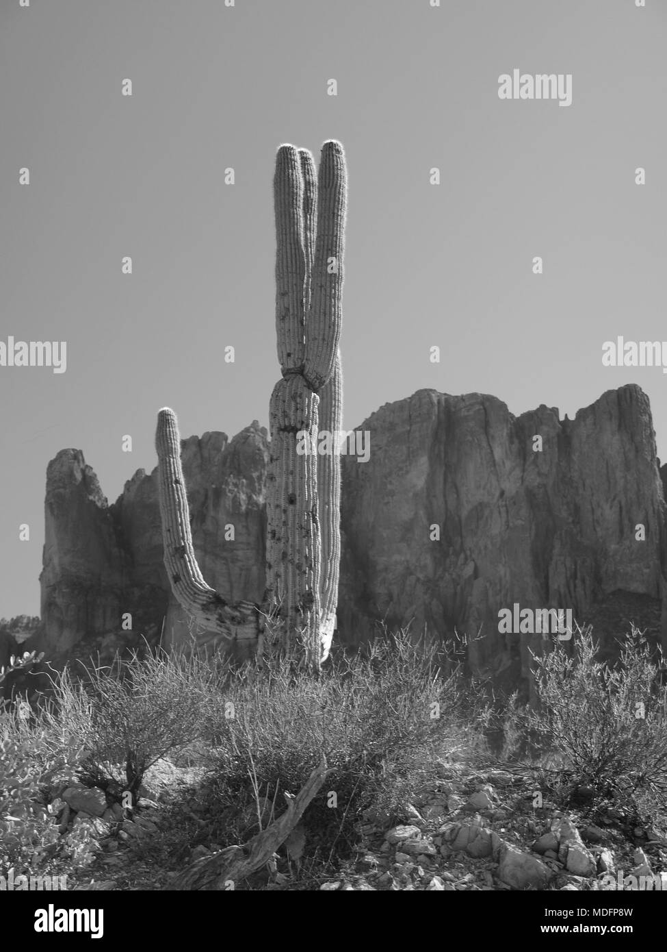 Arizona Wüste Szenen in Schwarz und Weiß östlich von Mesa, Arizona. Stockfoto
