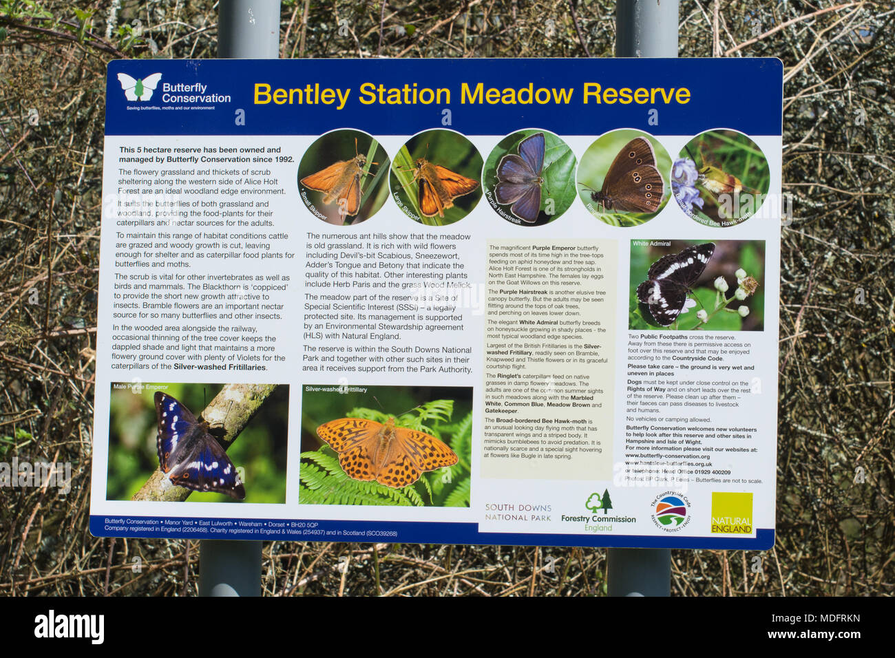 Information Board bei Bentley Station Wiese finden, ein Butterfly Conservation Nature Reserve in Hampshire, Großbritannien Stockfoto