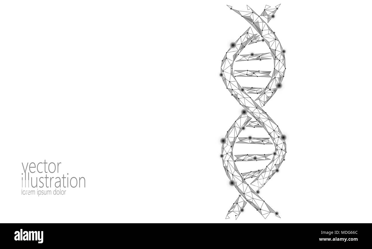 DNA 3D-chemische Molekül Struktur poly niedrig. Polygonale Dreieck Point Line gesunde Zelle teil. Mikroskopische Wissenschaft weiß Medizin Genom engineering Vektor-illustration Future Business Technologie Stock Vektor