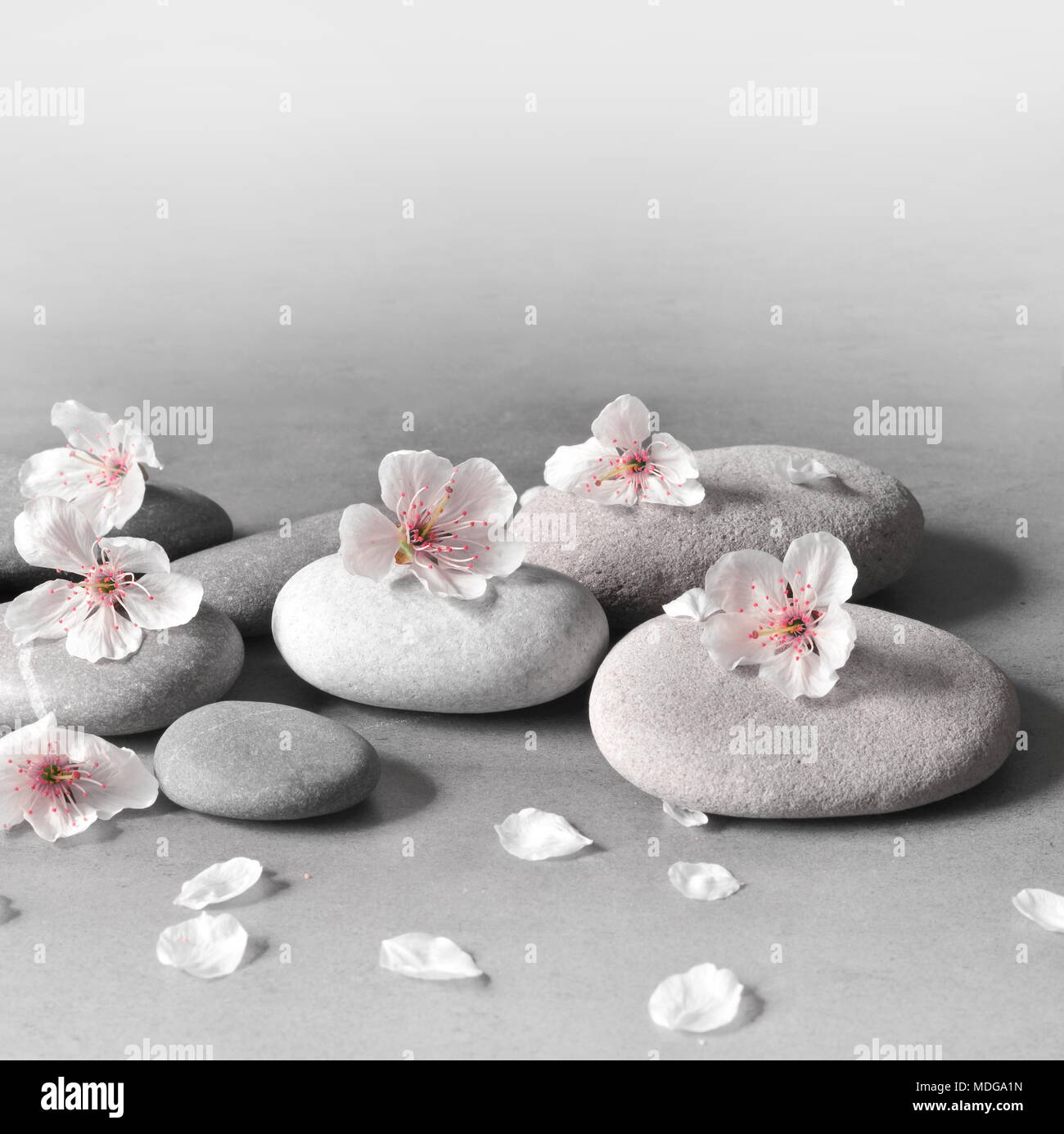 Schöne Blume und Stein Zen Spa auf grauem Hintergrund Stockfoto