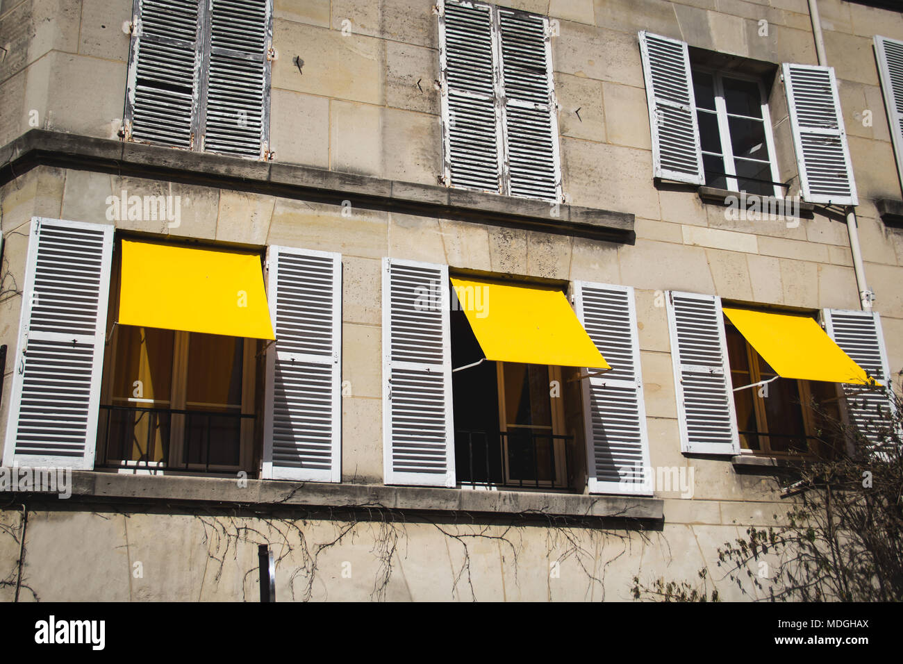 Drei gelben Fensterläden auf eine Wohnung in Paris Frankreich Stockfoto