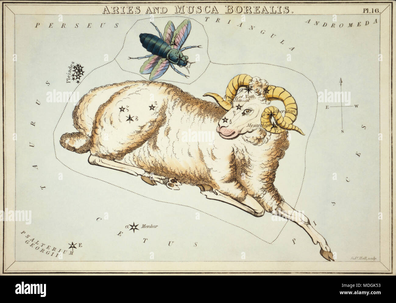 Aries und Musca Borealis. Karte Nummer 16 von Urania's Mirror, oder einen Blick auf den Himmel, eines der 32 astronomischen Star Chart Karten von Sidney Hall graviert und publshed 1824. Stockfoto