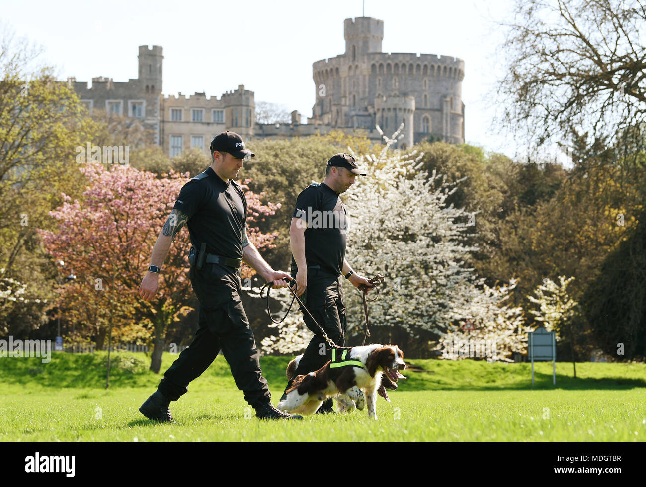 PC Jim Hyman (links) mit Jurij und PC Paul Shutler mit Gus von Thames Valley Police gemeinsame Operationen Hund Einheit auf Patrouille in Windsor vor den nächsten Monat Hochzeit von Prinz Harry und Meghan Markle. Stockfoto