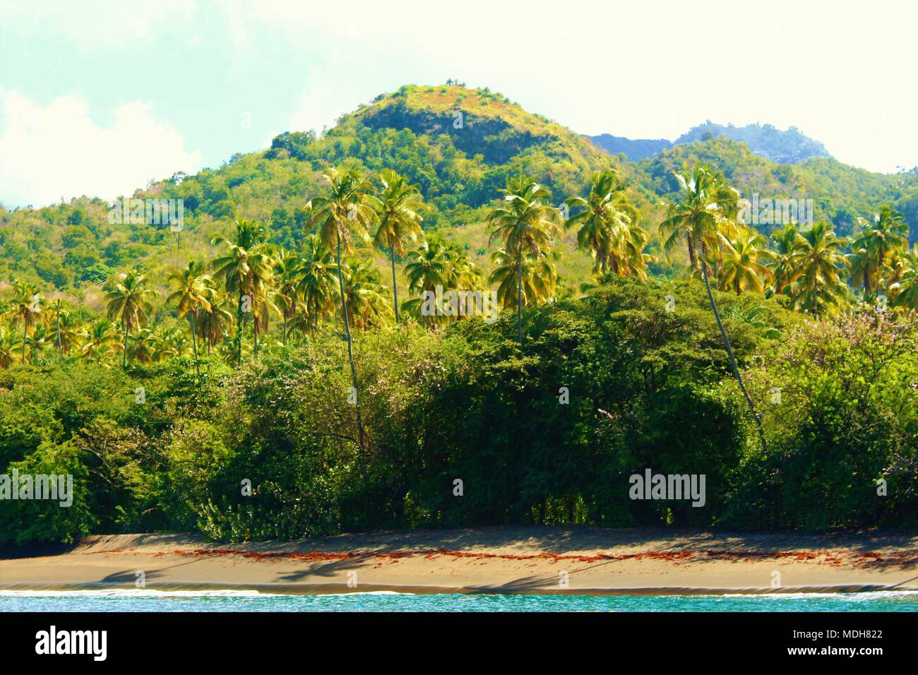 Eine von Palmen gesäumte Strand in St Vincent, Karibik. Stockfoto