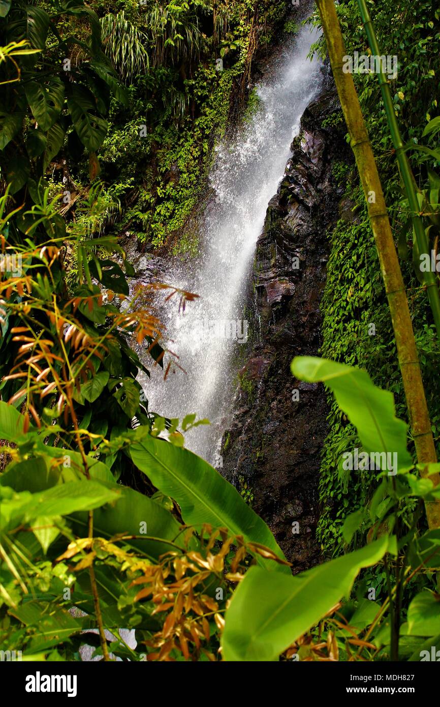 Der Wasserfall am Dunklen Blick fällt auf der Insel St. Vincent, Karibik. Stockfoto