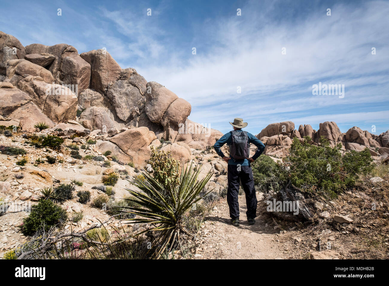 Ein älterer Mann stand auf einem Trail in Joshua Tree National Park Blick auf Felsformationen, Kalifornien, Vereinigte Staaten von Amerika Stockfoto