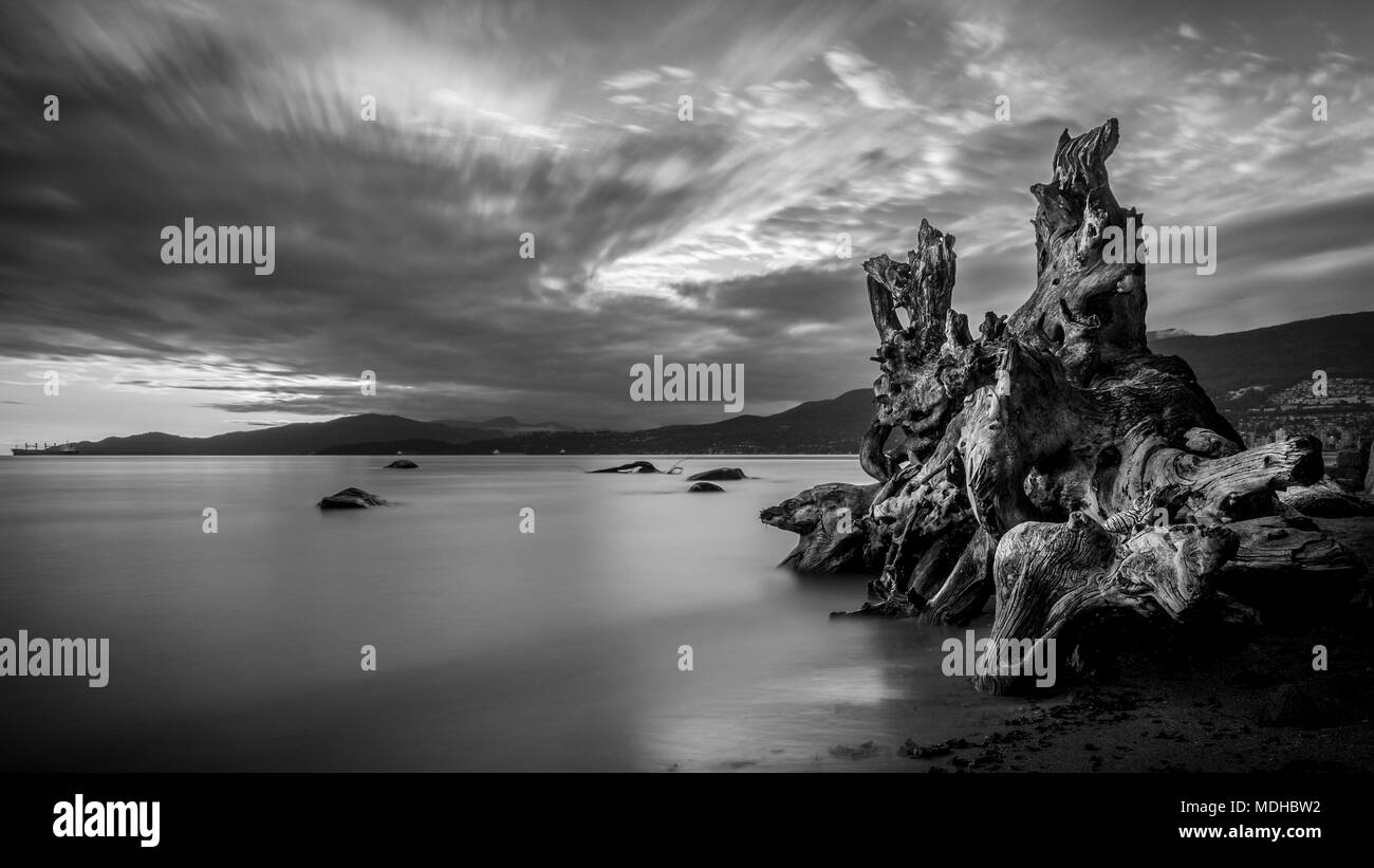 Lange Belichtung von treibholz an den Rand des Wassers und einen Blick auf die Vancouver Küstenlinie bei Stanley Park, Vancouver, British Columbia, Kanada Stockfoto