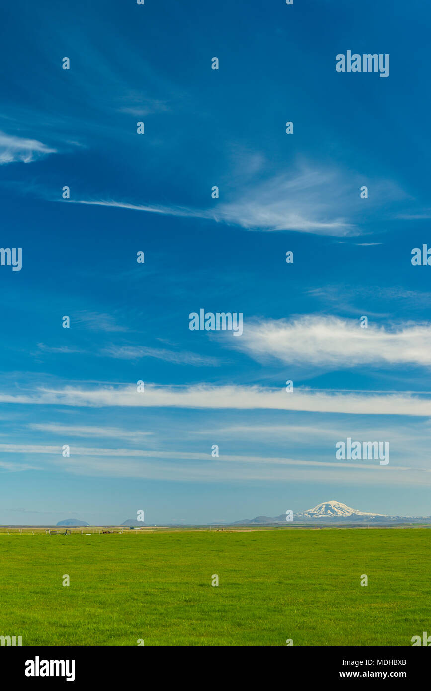 Blick über Wiesen zum Vulkan Hekla in der Ferne ; Island Stockfoto