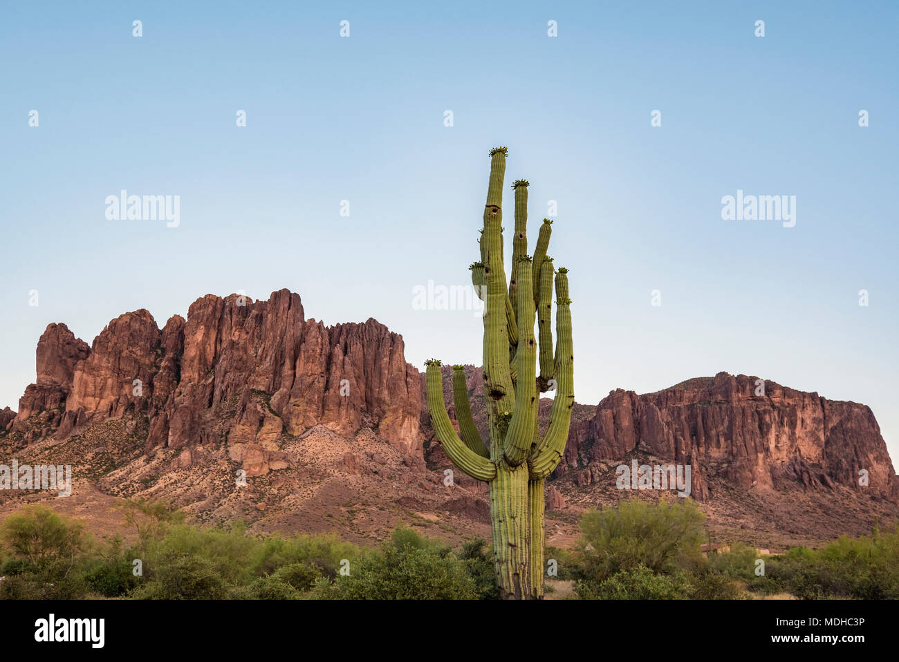 Lost Dutchman State Park mit Aberglauben Berg im Hintergrund, in der Nähe von Apache Junction, Arizona, Vereinigte Staaten von Amerika Stockfoto