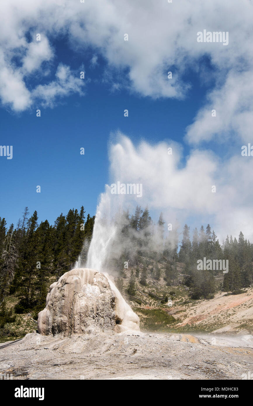 Lone Star Geysir ist ein Kegel Geysir im Lone Star Geyser Basin des Yellowstone National Park, Wyoming, Vereinigte Staaten von Amerika Stockfoto