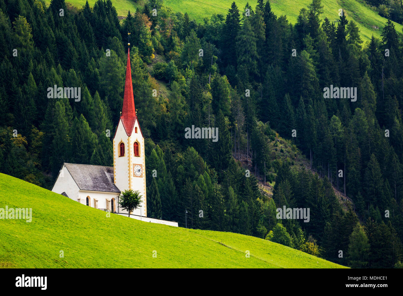 Hohe Kirchturm auf Grasbewachsenen alpine Hang mit Treed Hang im Hintergrund; Parggenhof, Bozen, Italien Stockfoto