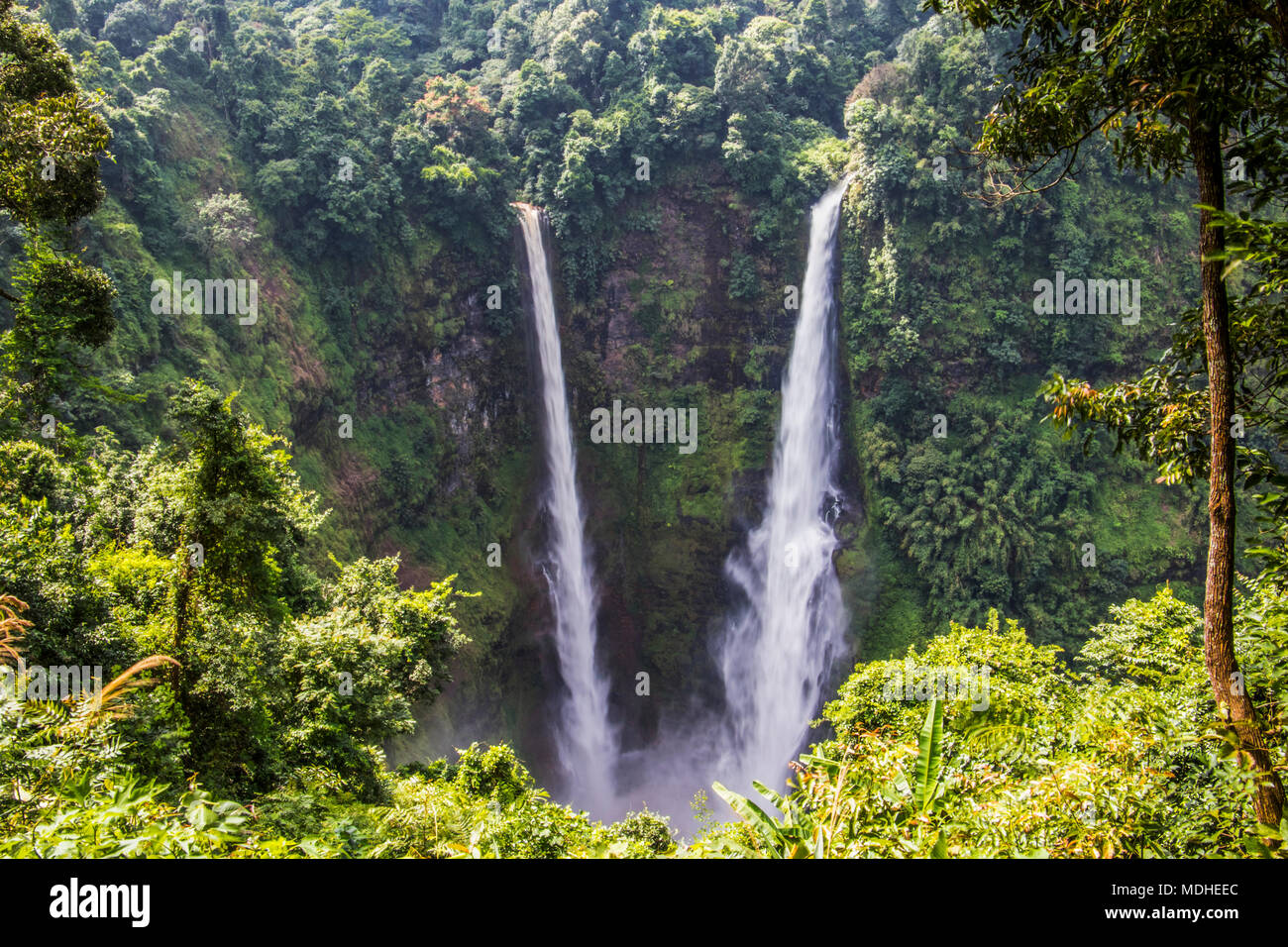 Tad Ventilator Wasserfall, Bolaven Plateau; Champasak, Laos Stockfoto