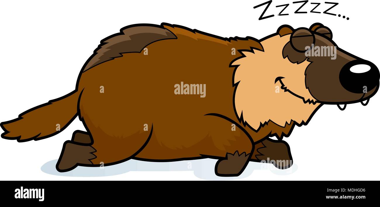 Ein Cartoon Illustration eines Wolverine schlafen. Stock Vektor