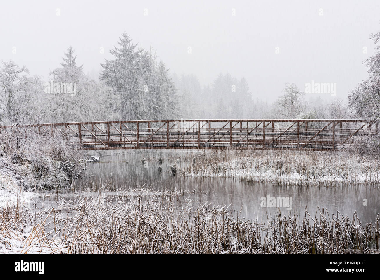 Schneefall sorgt ein rustikales Szene einer Fußgängerbrücke über einen Teich in Westoregon, Astoria, Oregon, Vereinigte Staaten von Amerika Stockfoto