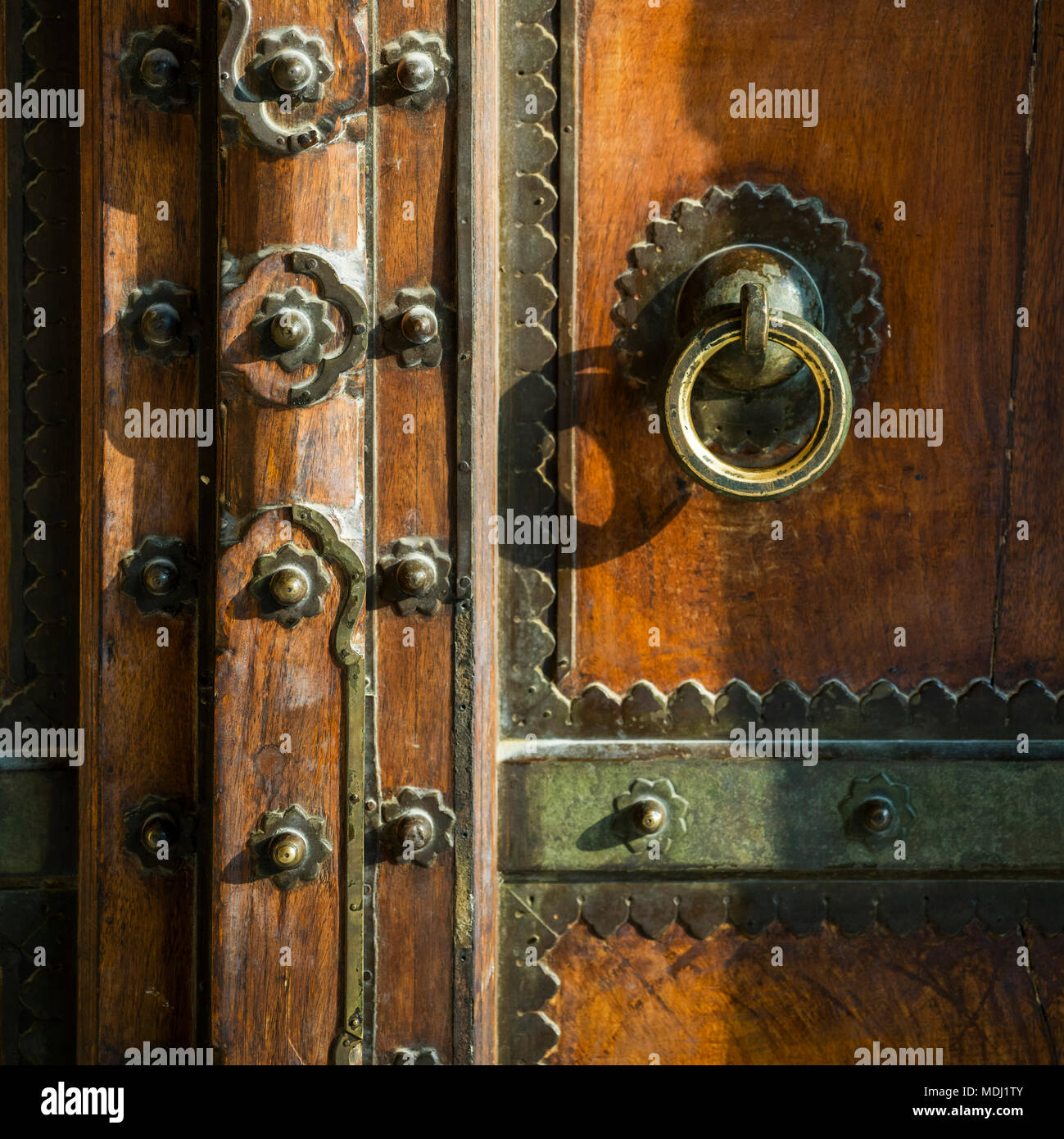 Metall dekorative Details auf einer hölzernen Tür, Amer Fort, Jaipur, Rajasthan, Indien Stockfoto