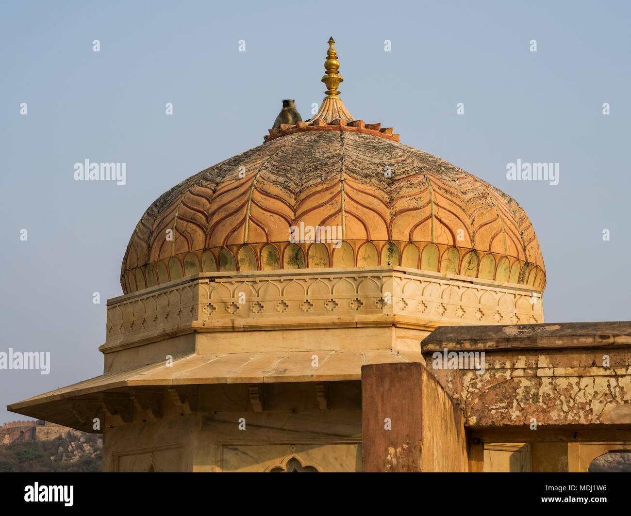 Dome auf Amer Fort, Jaipur, Rajasthan, Indien Stockfoto
