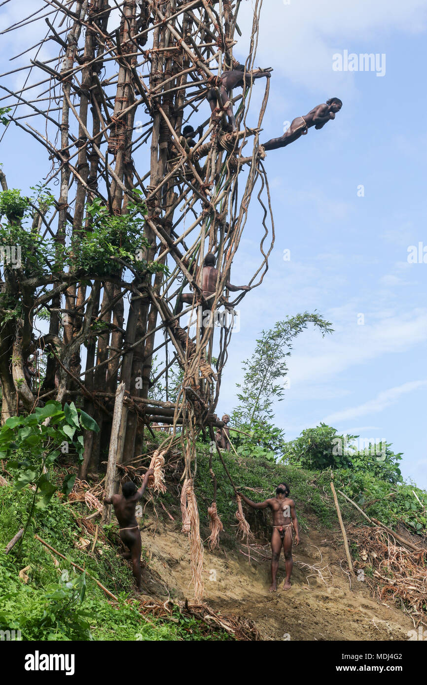 Pfingsten, Republik Vanuatu, 20. Juli 2014: traditionellen Land tauchen Ritual (Nangol) mit Reben an ihre Füße gebunden, Ursprung der modernen Bungee Jumping Stockfoto