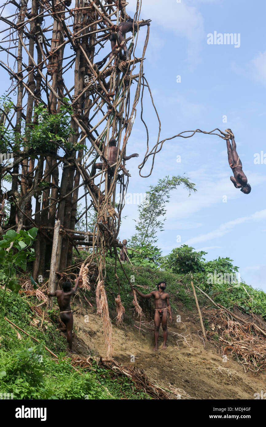 Pfingsten, Republik Vanuatu, 20. Juli 2014: traditionellen Land tauchen Ritual (Nangol) mit Reben an ihre Füße gebunden, Ursprung der modernen Bungee Jumping Stockfoto
