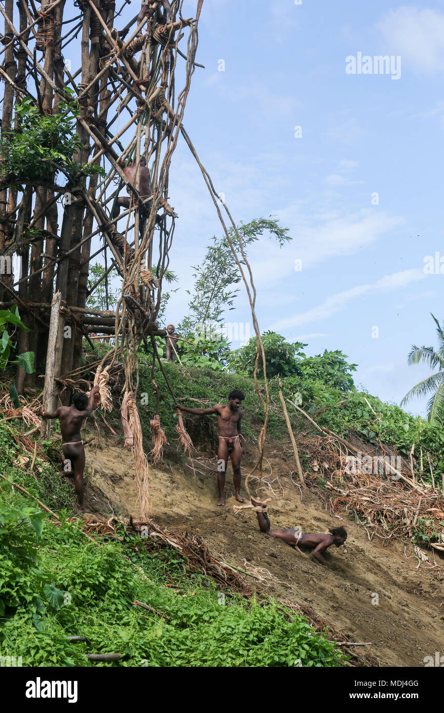 Pfingsten, Republik Vanuatu, 20. Juli 2014: traditionellen Land tauchen Ritual (Nangol) mit Reben an ihre Füße gebunden, Ursprung der modernen Bungee Jumping Stockfoto