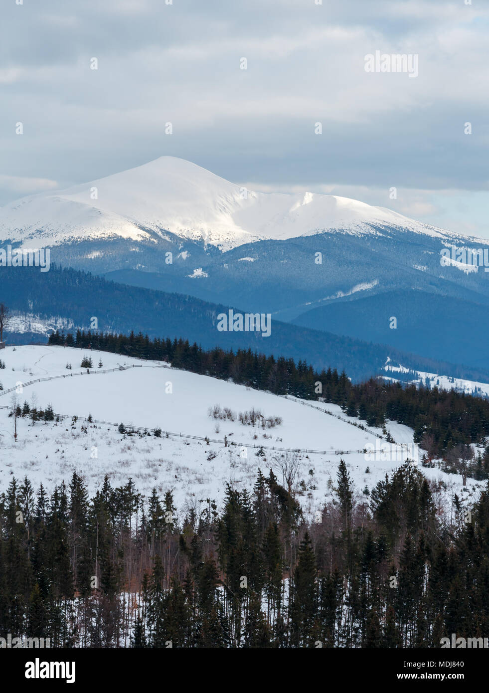 Abenddämmerung winter bewölkten Tag Schnee alp Bergrücken (Ukraine, Karpaten, Chornohora Sortiment - Hoverla Berg, Landschaft Blick von Stockfoto