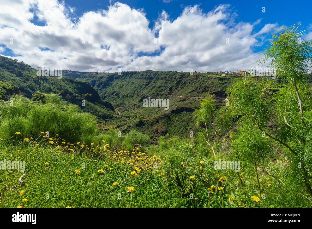 Blick auf den wunderschönen Tal an einem sonnigen Tag, Gran Canaria, Kanarische Inseln, Spanien Stockfoto