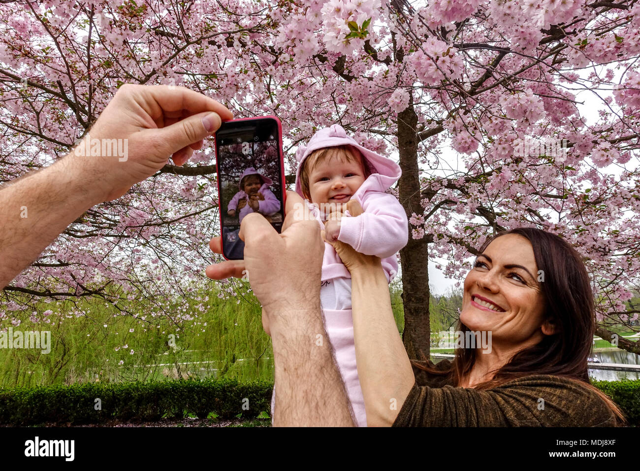 Mutter und ihr Baby werden unter einem blühenden Kirschbaum im Park Stromovka, Holesovice, Prag, Tschechische Republik fotografiert und fotografieren das Baby Stockfoto