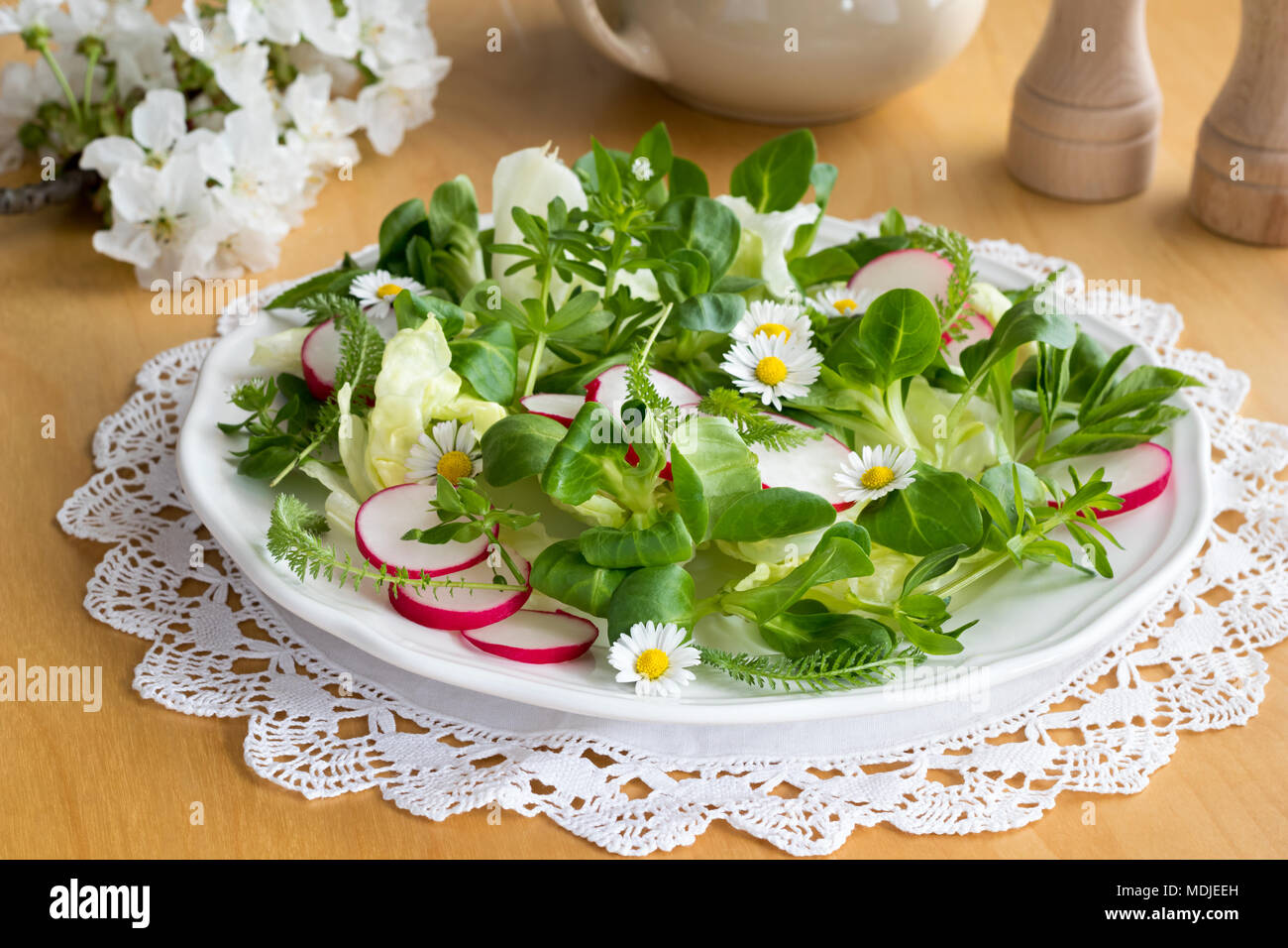 Frühlingssalat mit vogelmiere, bedstraw, junge Schafgarbe Blätter und andere wilde essbare Pflanzen Stockfoto