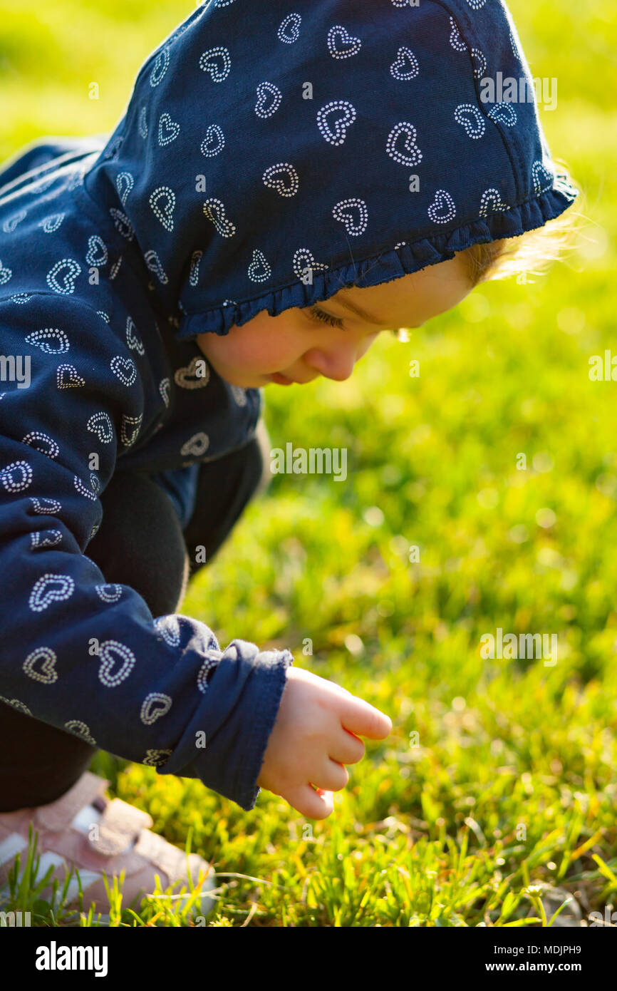 Little Baby Mädchen spielt gerne im Park im Freien im Frühjahr und sammelt Gänseblümchen. Stockfoto